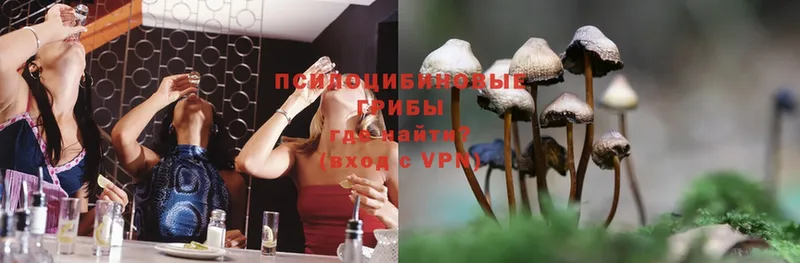 Галлюциногенные грибы MAGIC MUSHROOMS  Удомля 